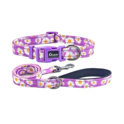 Dog Collar Leash Set, with Safety Reflective Strips, 5 Feet Matching Leash, Neoprene Padded Handle, Adjustable